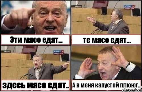 Эти мясо едят... те мясо едят... здесь мясо едят.. А в меня капустой плюют..., Комикс жиреновский