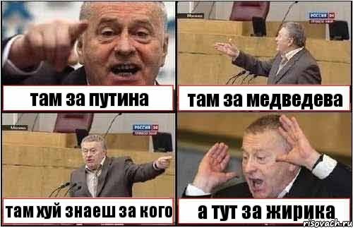 там за путина там за медведева там хуй знаеш за кого а тут за жирика, Комикс жиреновский