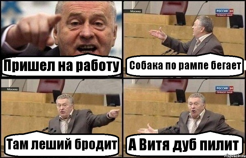 Пришел на работу Собака по рампе бегает Там леший бродит А Витя дуб пилит, Комикс Жириновский