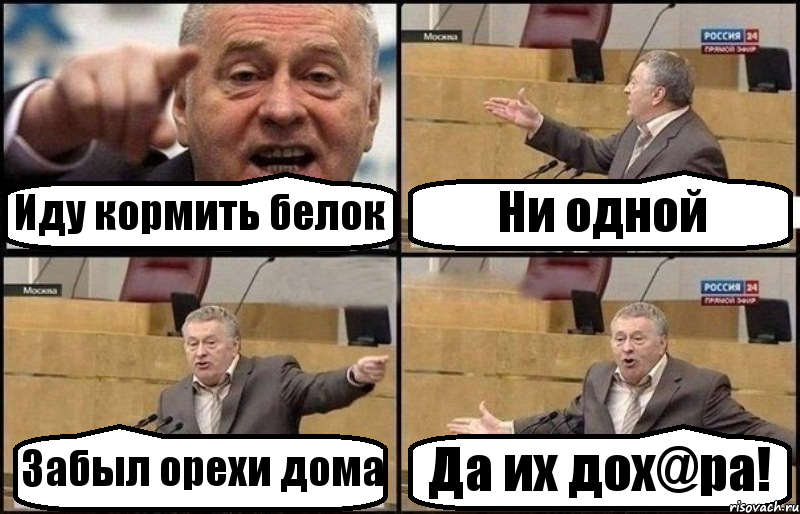 Иду кормить белок Ни одной Забыл орехи дома Да их дох@ра!, Комикс Жириновский