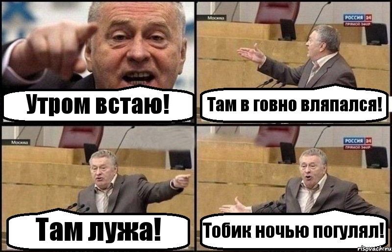 Утром встаю! Там в говно вляпался! Там лужа! Тобик ночью погулял!, Комикс Жириновский