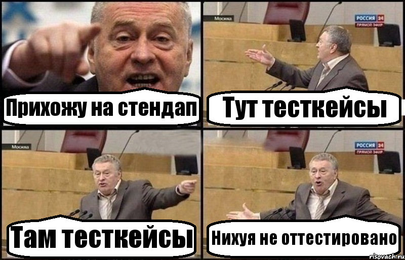 Прихожу на стендап Тут тесткейсы Там тесткейсы Нихуя не оттестировано, Комикс Жириновский