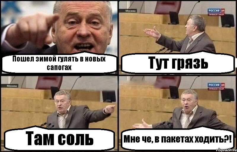 Пошел зимой гулять в новых сапогах Тут грязь Там соль Мне че, в пакетах ходить?!, Комикс Жириновский