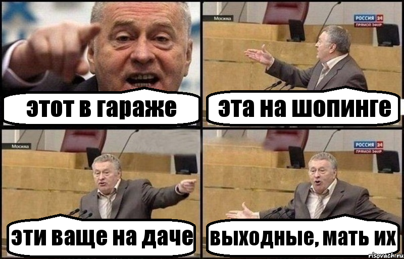 этот в гараже эта на шопинге эти ваще на даче выходные, мать их, Комикс Жириновский