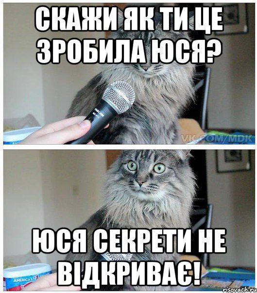 скажи як ти це зробила ЮСЯ? Юся секрети не відкриває!, Комикс  кот с микрофоном