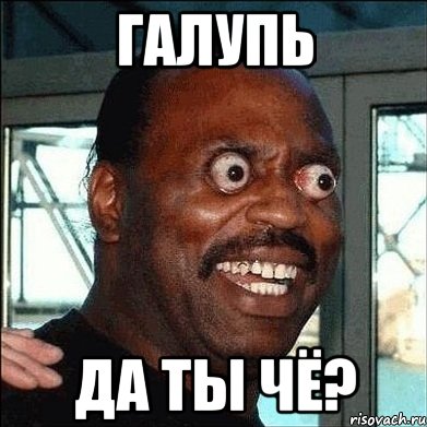 Галупь да ты чё?