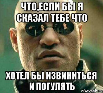 Что,если бы я сказал тебе что хотел бы извиниться и погулять, Мем  а что если я скажу тебе