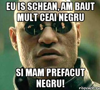 EU IS SCHEAN, AM BAUT MULT CEAI NEGRU SI MAM PREFACUT NEGRU!, Мем  а что если я скажу тебе