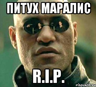 ПИТУХ МАРАЛИС R.I.P., Мем  а что если я скажу тебе