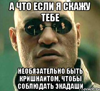 а что если я скажу тебе необязательно быть кришнаитом, чтобы соблюдать экадаши, Мем  а что если я скажу тебе