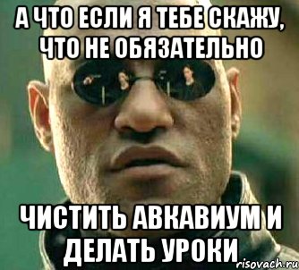 А что если я тебе скажу, что не обязательно чистить авкавиум и делать уроки, Мем  а что если я скажу тебе