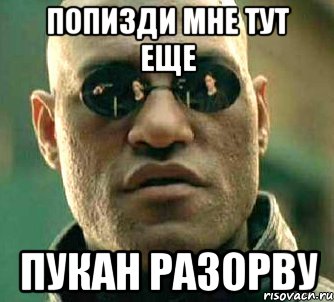 Попизди мне тут еще Пукан разорву, Мем  а что если я скажу тебе