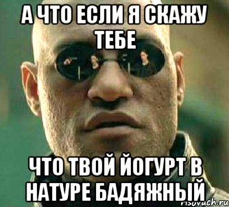 А ЧТО ЕСЛИ Я СКАЖУ ТЕБЕ ЧТО ТВОЙ ЙОГУРТ В НАТУРЕ БАДЯЖНЫЙ, Мем  а что если я скажу тебе