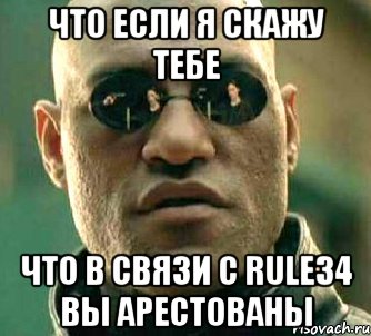 Что если я скажу тебе Что в связи с Rule34 вы арестованы, Мем  а что если я скажу тебе