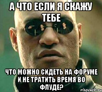 А что если я скажу тебе что можно сидеть на форуме и не тратить время во флуде?, Мем  а что если я скажу тебе