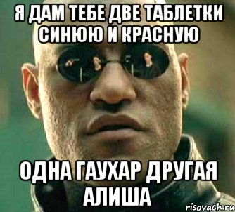 я дам тебе две таблетки синюю и красную одна гаухар другая алиша, Мем  а что если я скажу тебе