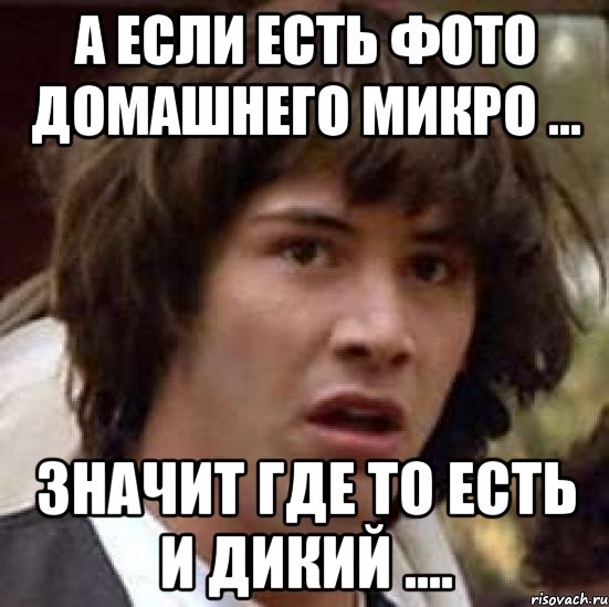 а если есть фото домашнего микро ... значит где то есть и дикий ...., Мем А что если (Киану Ривз)