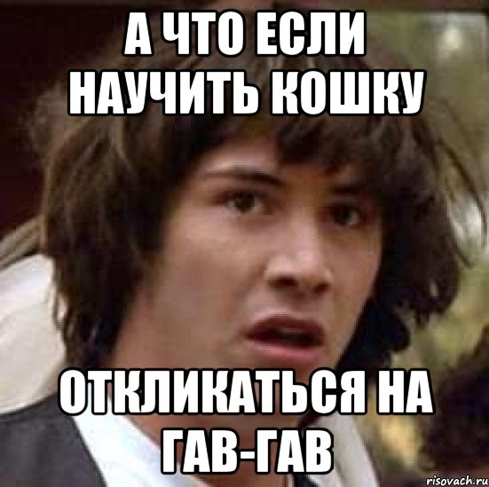 А что если научить кошку откликаться на гав-гав, Мем А что если (Киану Ривз)