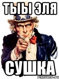 тыы Эля сушка, Мем а ты