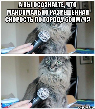 а вы осознаете, что максимально разрешенная скорость по городу 60км/ч? , Комикс  кот с микрофоном