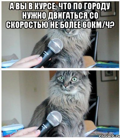 а вы в курсе, что по городу нужно двигаться со скоростью не более 60км/ч? , Комикс  кот с микрофоном