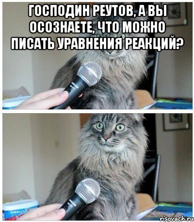 Господин Реутов, а вы осознаете, что можно писать уравнения реакций? , Комикс  кот с микрофоном