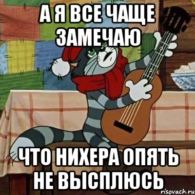 А я все чаще замечаю что нихера опять не высплюсь, Мем Кот Матроскин с гитарой