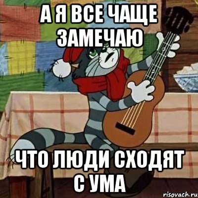 А я все чаще замечаю что люди сходят с ума, Мем Кот Матроскин с гитарой