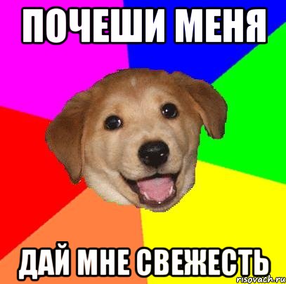 Почеши меня Дай мне свежесть, Мем Advice Dog