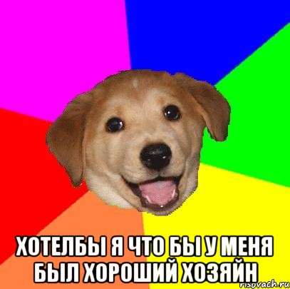  хотелбы я что бы у меня был хороший хозяйн, Мем Advice Dog