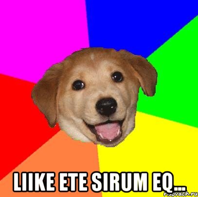  liike ete sirum eq..., Мем Advice Dog