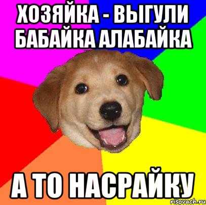 хозяйка - выгули бабайка алабайка а то насрайку, Мем Advice Dog