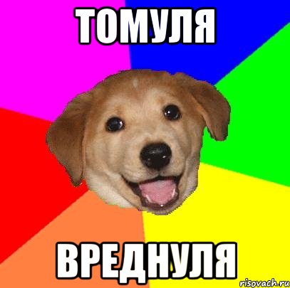 Томуля вреднуля, Мем Advice Dog