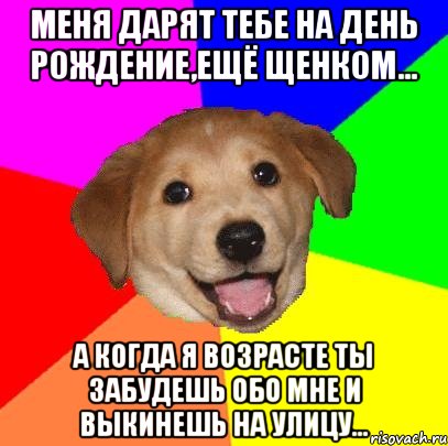 Меня дарят тебе на День Рождение,ещё щенком... А когда я возрасте ты забудешь обо мне и выкинешь на улицу..., Мем Advice Dog