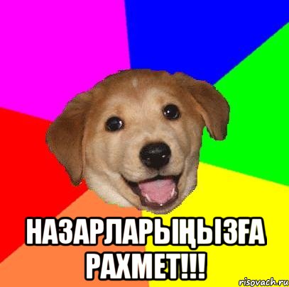  Назарларыңызға рахмет!!!, Мем Advice Dog