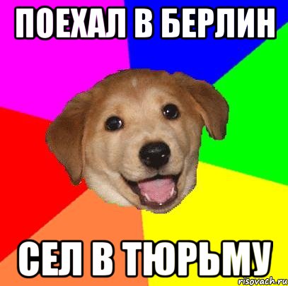 ПОЕХАЛ В БЕРЛИН СЕЛ В ТЮРЬМУ, Мем Advice Dog