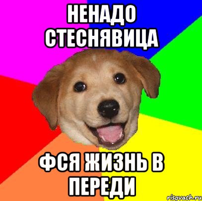 ненадо стеснявица фся жизнь в переди, Мем Advice Dog