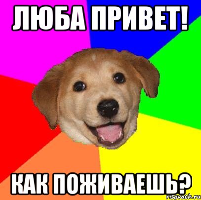 Люба привет! Как поживаешь?, Мем Advice Dog