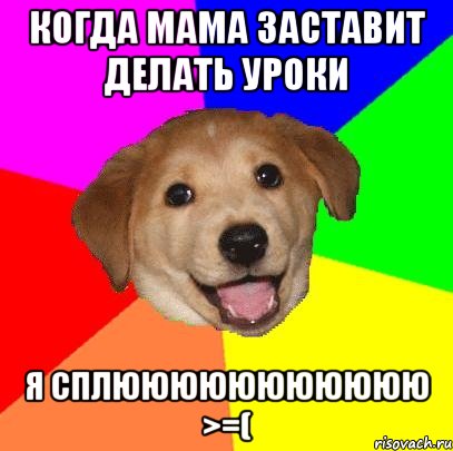 Когда мама заставит делать уроки я сплююююююююююю >=(, Мем Advice Dog