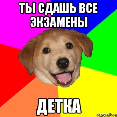 ТЫ СДАШЬ ВСЕ ЭКЗАМЕНЫ ДЕТКА, Мем Advice Dog