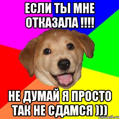 Если ты мне отказала !!!! Не думай я просто так не сдамся ))), Мем Advice Dog