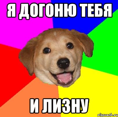 я догоню тебя и лизну, Мем Advice Dog