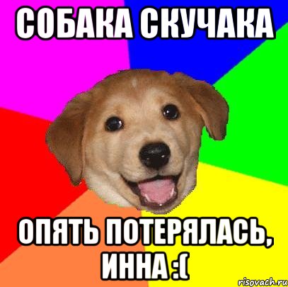 Собака скучака Опять потерялась, Инна :(, Мем Advice Dog