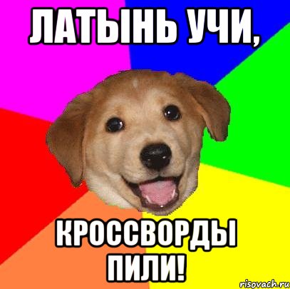 латынь учи, кроссворды пили!, Мем Advice Dog