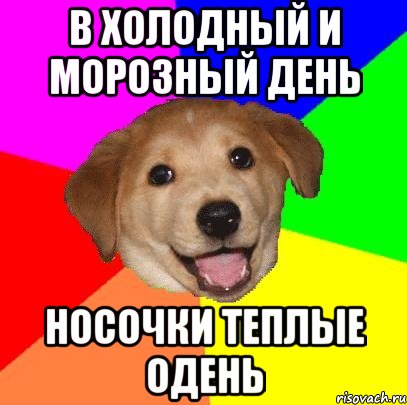 в холодный и морозный день носочки теплые одень, Мем Advice Dog