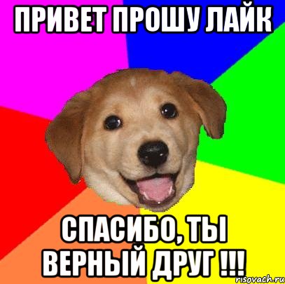 ПРИВЕТ ПРОШУ ЛАЙК СПАСИБО, ТЫ ВЕРНЫЙ ДРУГ !!!, Мем Advice Dog
