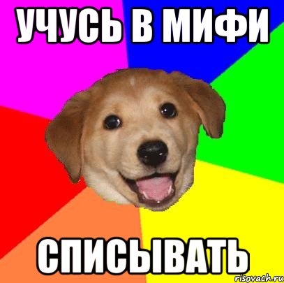 Учусь в Мифи Списывать, Мем Advice Dog