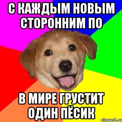 С КАЖДЫМ НОВЫМ СТОРОННИМ ПО В МИРЕ ГРУСТИТ ОДИН ПЁСИК, Мем Advice Dog