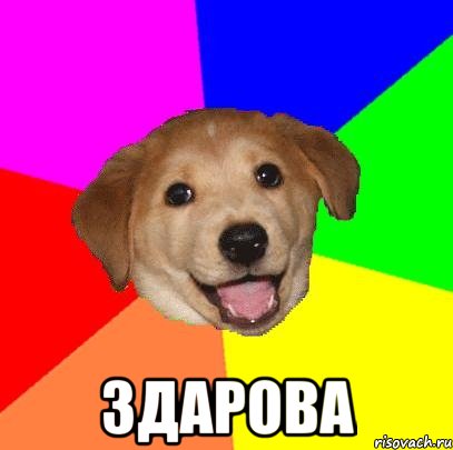  здарова, Мем Advice Dog