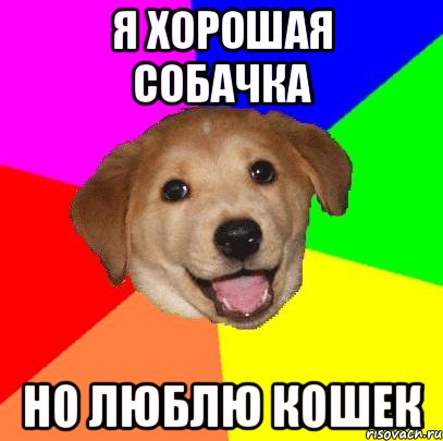 я хорошая собачка но люблю кошек, Мем Advice Dog